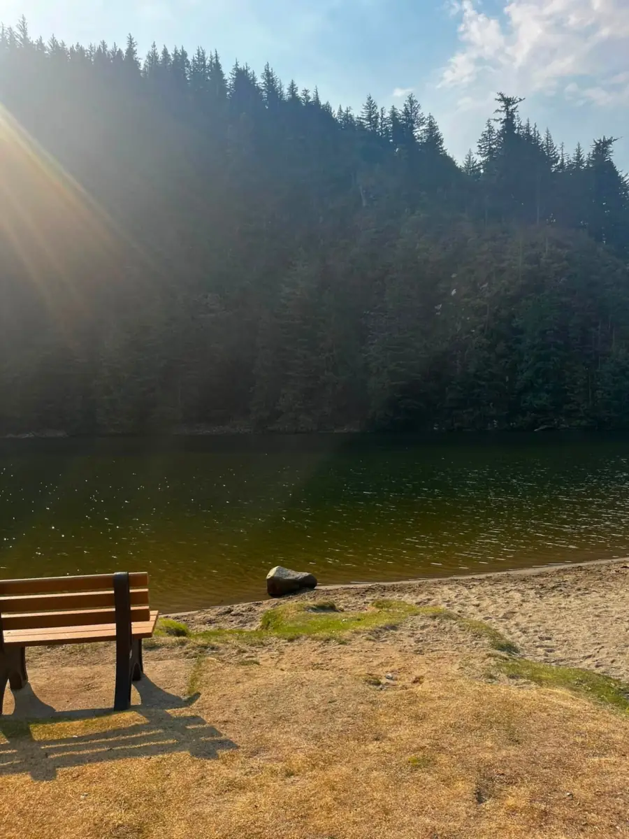 An empty wooden bench on dry grass facing a still green lake, sunbeams slanting down over the forested slope beyond