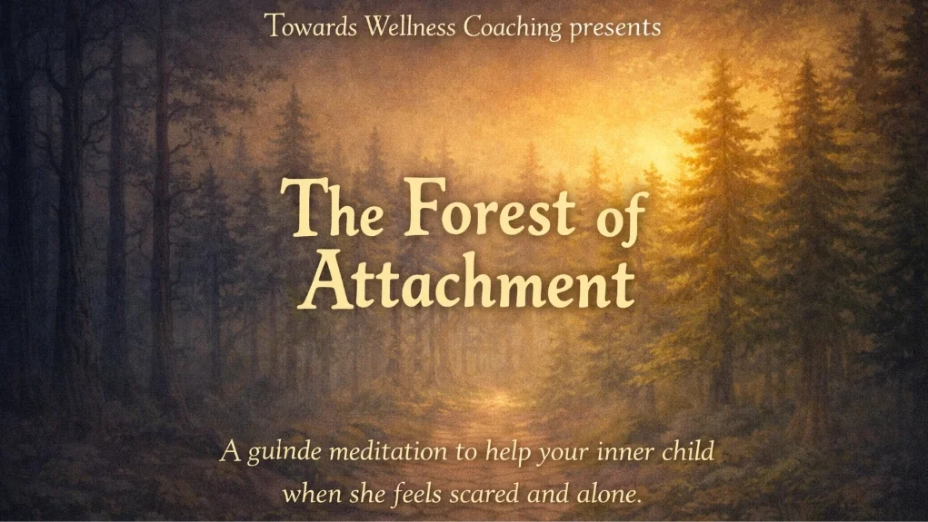 Cover art for The Forest of Attachment — a sunlit path through a misty evergreen forest