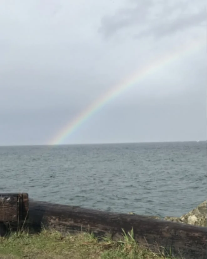 A rainbow arcing down into the ocean under a grey sky, seen from a driftwood log on the shore